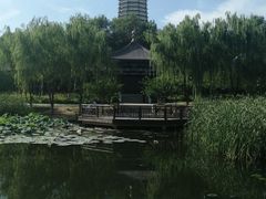 -舍利塔滩地公园-无垢净光舍利塔
