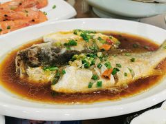-洲晓鲜·舟山海鲜大排档(朱家尖风景区店)