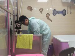 -全心全意连锁动物医院(石景山店)