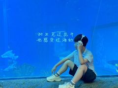 -南昌融创海世界