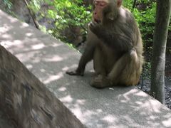 -北京上方山国家森林公园