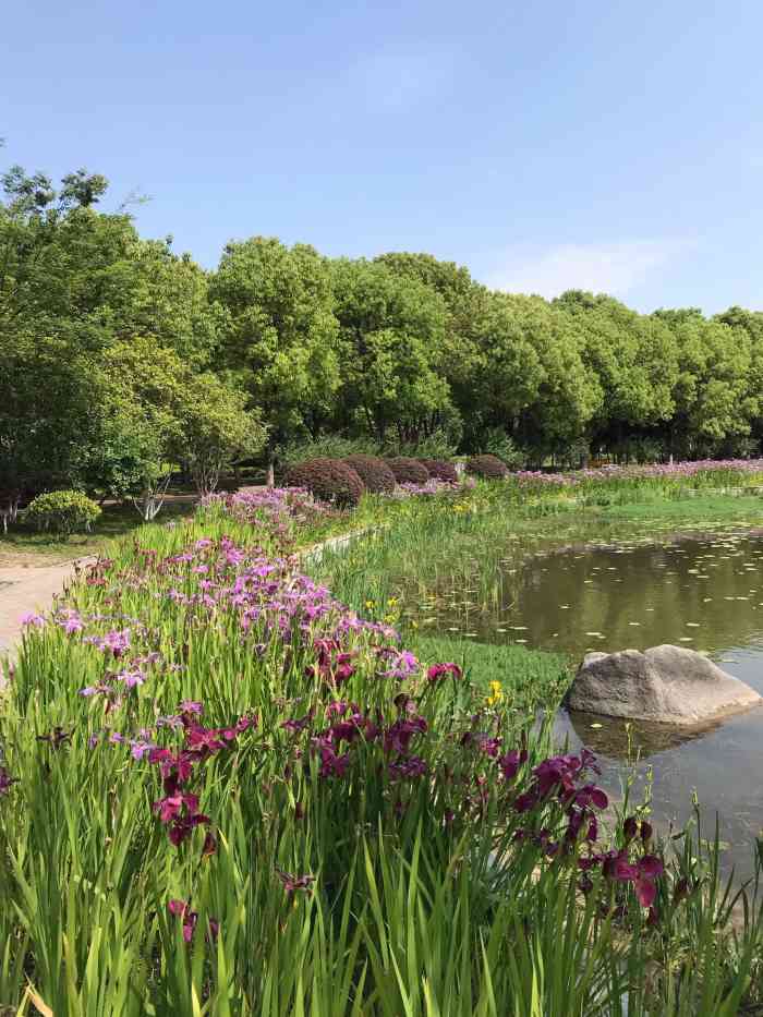 黄浦公园-"初到昆山,附近也没有特别的景点,晚餐之后.