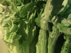 -季季红火锅(长沙步行街店)