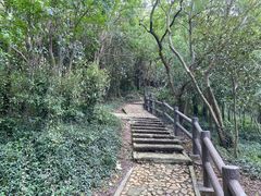 -上海佘山国家森林公园天马山园