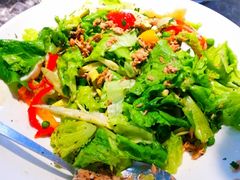 -Green Option(官舍店)