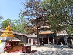 -天龙宝严素食馆(大兴善寺店)