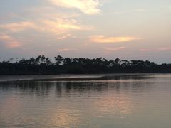 -东寨港红树林旅游区