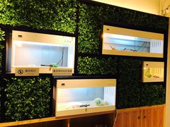 -打趸BTC·Breaktime cafe(北京路店)