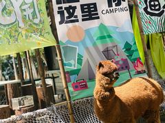 -杭州千岛湖开元度假村
