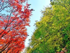 -南京市江宁方山