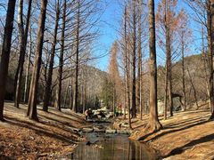 -白水寺森林公园