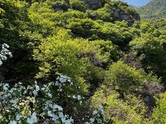 -阳台山自然风景区
