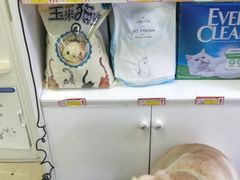 -宠颐生中康贝怡动物医院