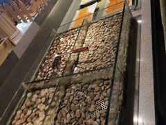 -金权道韩式自助烤肉(嘉华国际店)