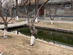 -春风习习