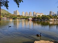 -珠海圆明新园