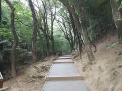 -穹窿山景区
