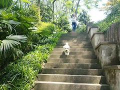 -重庆彩云湖湿地公园