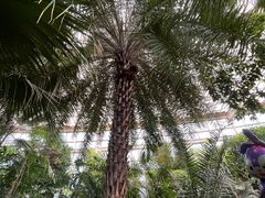 -石家庄市植物园