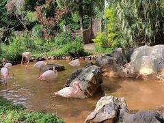 -昆明动物园
