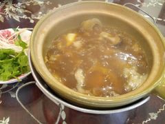 -大中鱼翅 Taitong Shark Fin