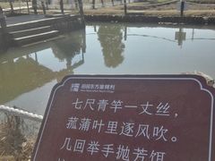 -田园东方蜜桃村的田野营地