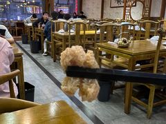 -杏花村水席楼·洛阳水席(老城十字街店)