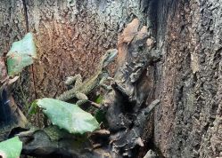 点击看大图 -酷嗒动物文化乐园(cutezoo西溪乐天城店)