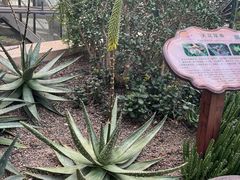 -南山植物园
