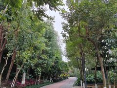 -狐尾山公园