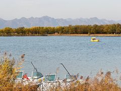 -野鸭湖国家湿地公园