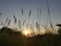 -广州市流溪河国家森林公园