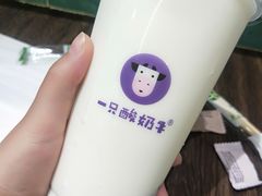 -一只酸奶牛(益州国际店)
