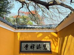 -普陀山慧济禅寺