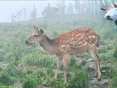 -萍乡武功山风景名胜区