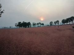 -汉长安城未央宫国家考古遗址公园