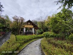 -腾冲洞山温泉村