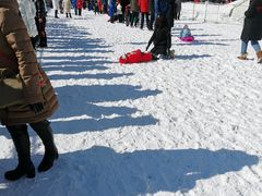 -沈阳奥体冰雪嘉年华