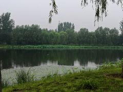 -东郊湿地公园
