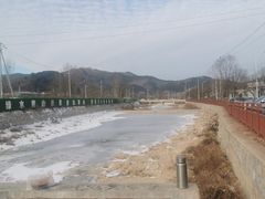 -示范集贸市场