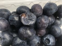 -上海龙吴水胜海发市场