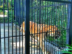 -广东茂名森林公园