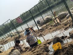 -大兴滨河森林公园