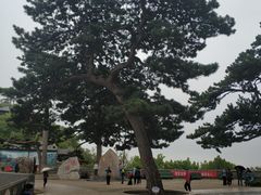 -妙峰山风景名胜区