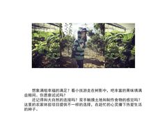 -大连北马山庄