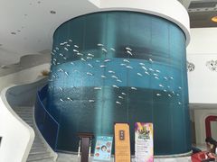 -深圳东部华侨城瀑布酒店