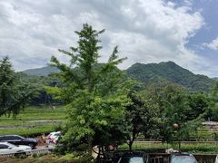 -听风阁农家私房菜茶楼(龙坞店)