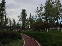 -府河摄影公园