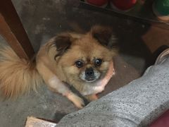 -阿姨小肉摊(同济西苑店)