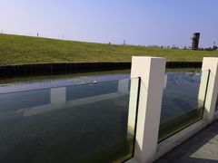 -春花秋色城市公园